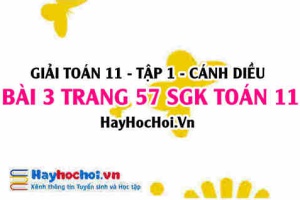 Giải bài 3 trang 57 Toán 11 tập 1 SGK Cánh Diều